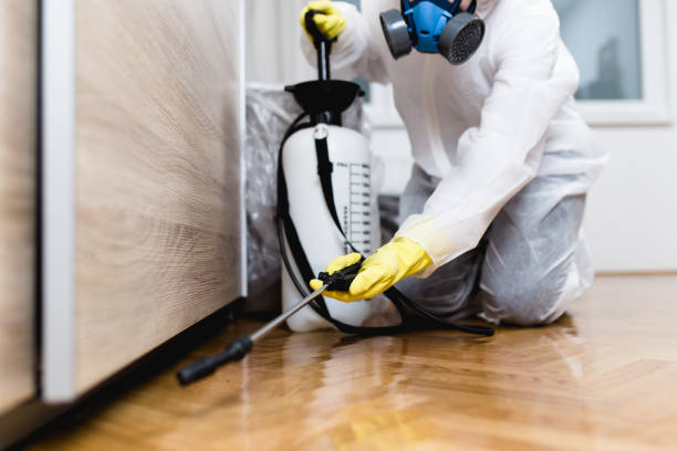 Best Wasp Removal Services  in Durand, IL