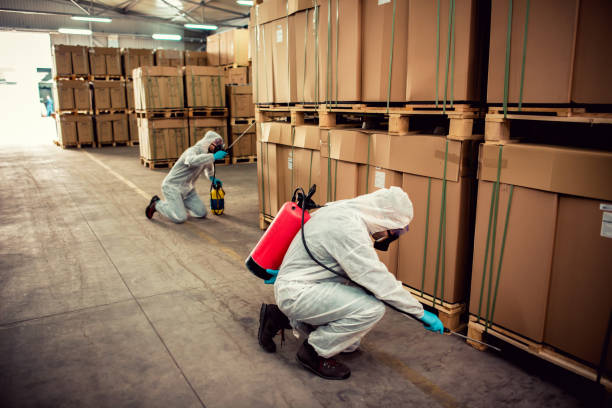 Pest Prevention Services in Durand, IL