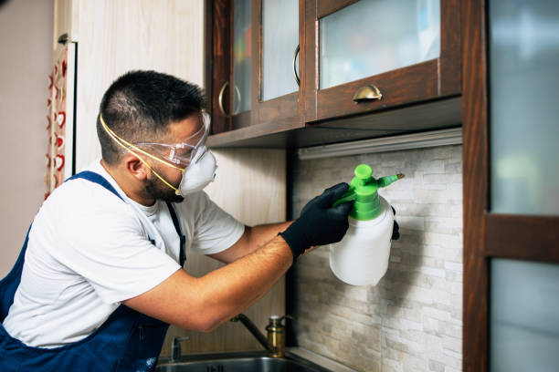 Best Affordable Pest Control Services  in Durand, IL