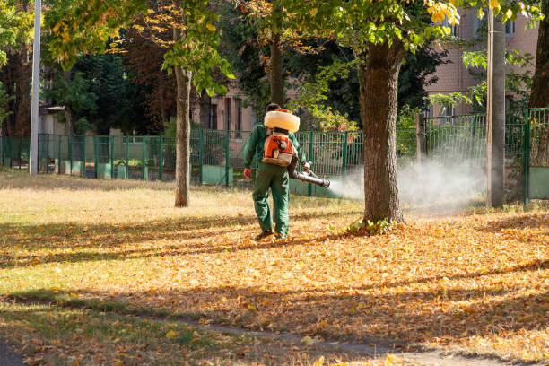 Best Local Pest Control Services  in Durand, IL