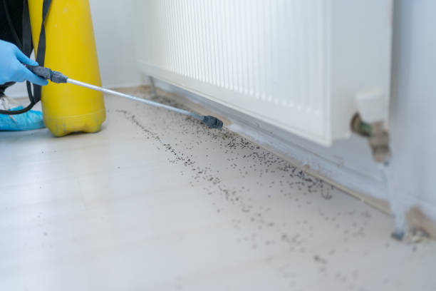 Best Wildlife Control Services  in Durand, IL