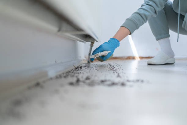 Best Best Pest Control Companies  in Durand, IL